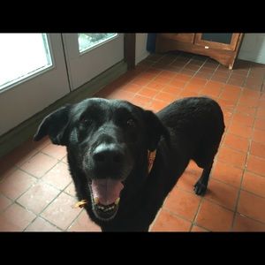 Meet your Posher, Diane